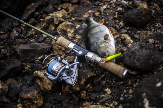 Блог им. shoori: Разлавливаю Tenryu Cradle 50L