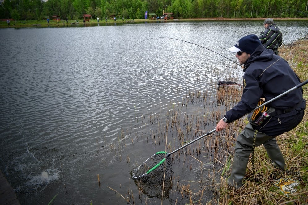Процесс вылавливания рыбы во время турнира Процесс вылавливания рыбы во время турнира