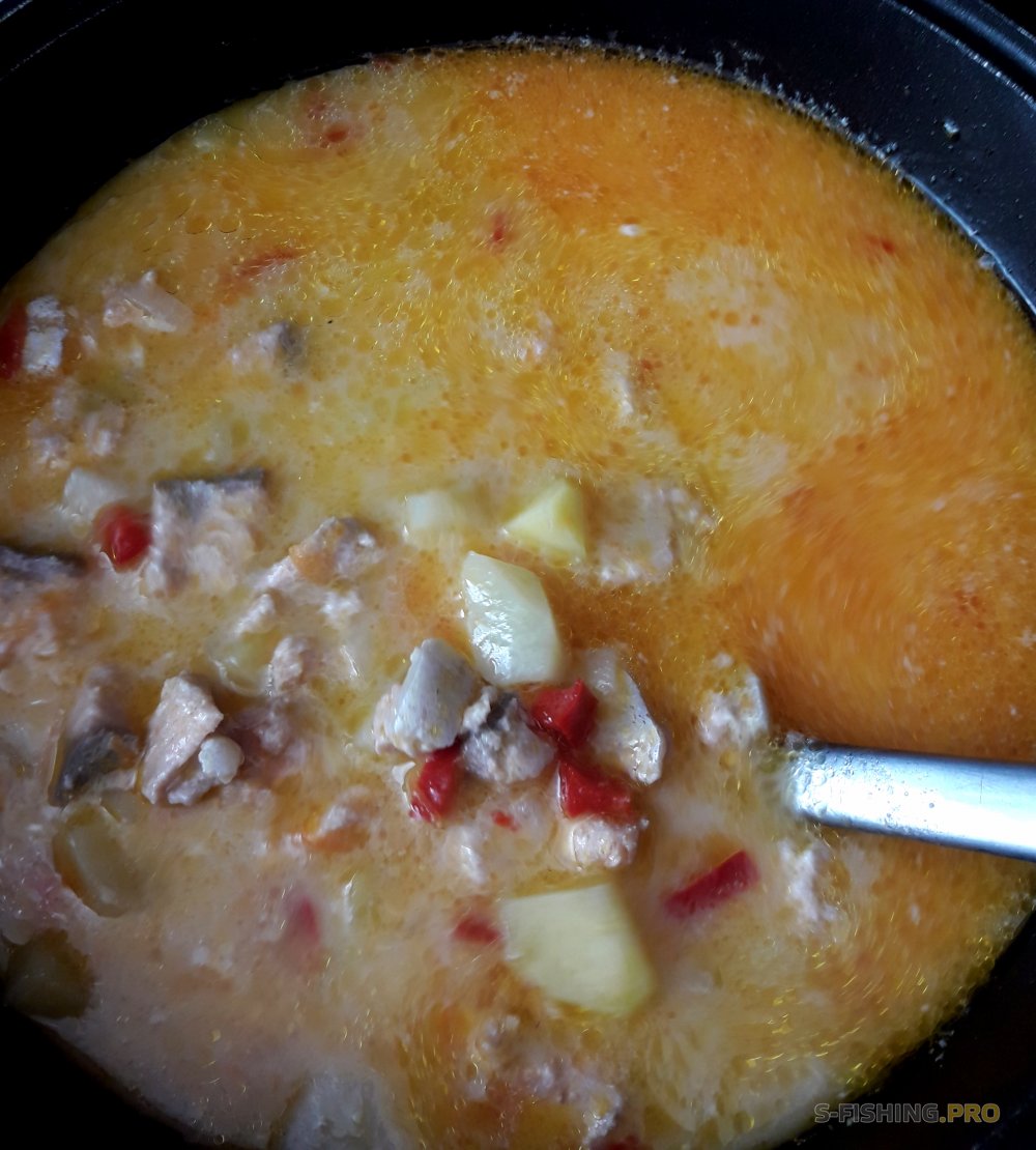 сырный суп с форелью и плавленным сыром и картофелем. 8d4ff38f53. сырный суп с форелью и плавленным сыром и картофелем фото. сырный суп с форелью и плавленным сыром и картофелем-8d4ff38f53. картинка сырный суп с форелью и плавленным сыром и картофелем. картинка 8d4ff38f53. Публикация в группе : Первые блюда