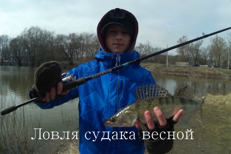 самый большой судак весной самый большой судак весной