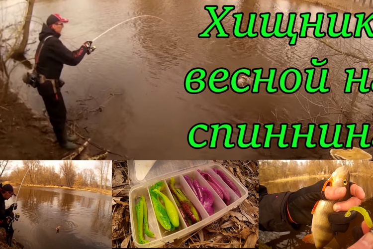 ловим хищника по весне видео ловим хищника по весне видео