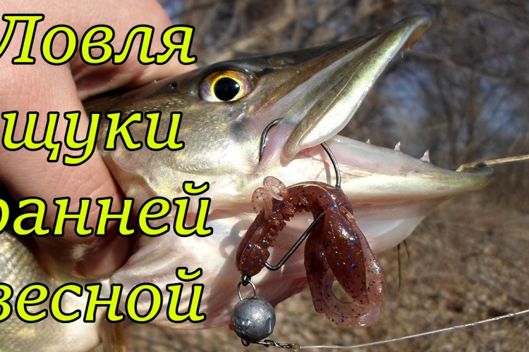 снасти на щуку в марте снасти на щуку в марте