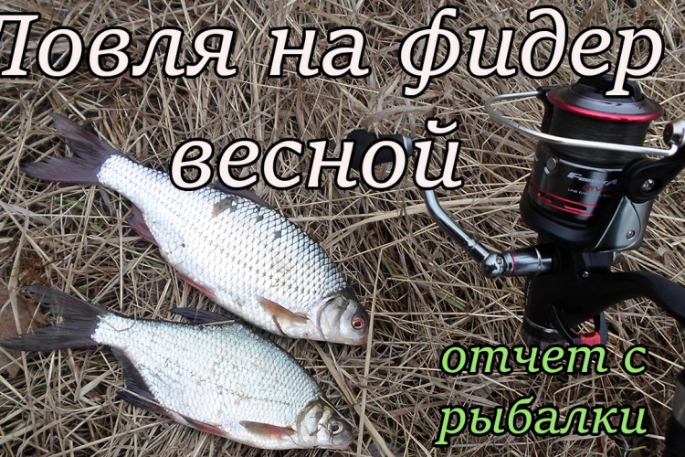 ловля рыбы фидером весной видео ловля рыбы фидером по весне видео