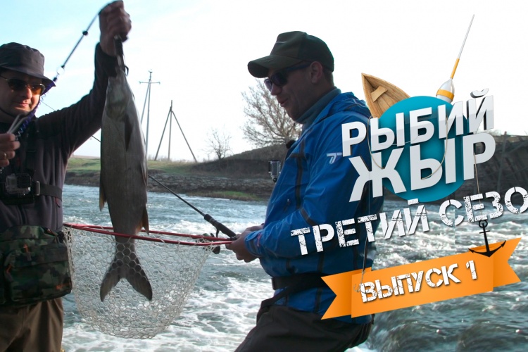 жерех на малых реках видео жерех на малых реках видео