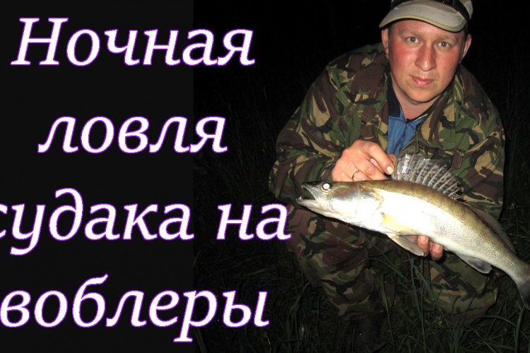 ловля судака воблерами ночью ловля судака воблерами ночью