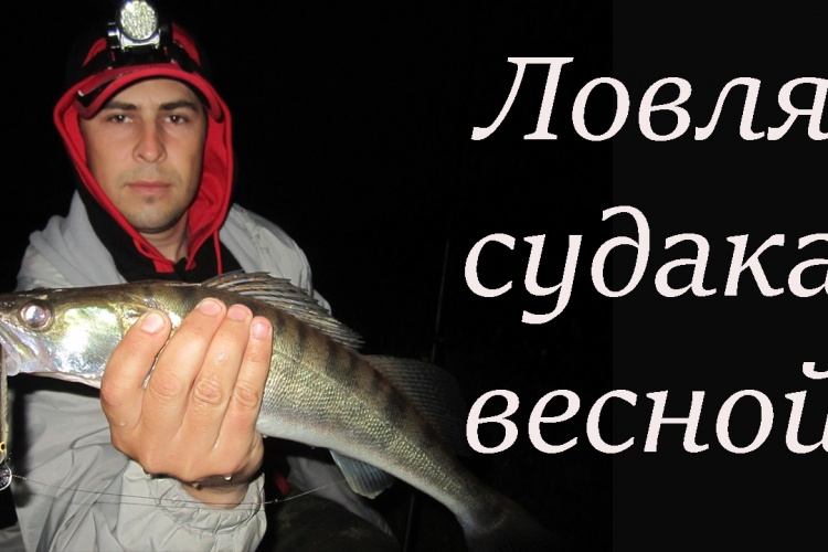 как поймать судака на спиннинг весной как поймать судака на спиннинг весной