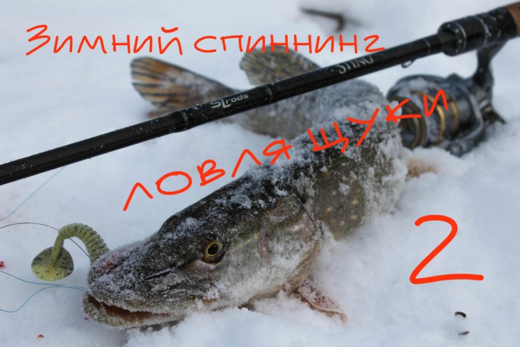 спиненг для ловли щуки спиненг для ловли щуки