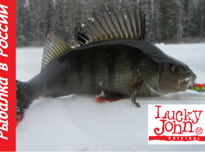 lucky john для окунь lucky john для окунь