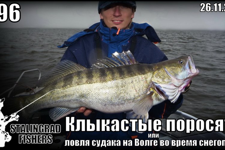 ловля судака на печенегах ловля судака на печенегах