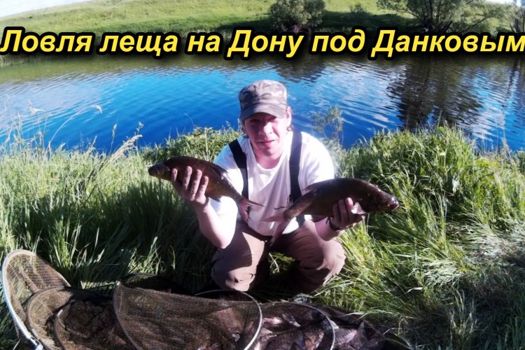 Калач на дону ловля леща Калач на дону ловля леща